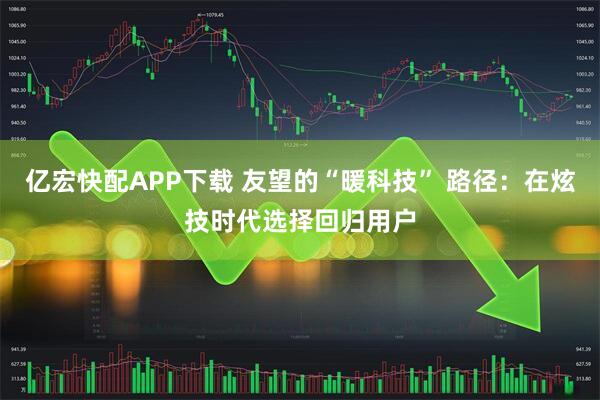 亿宏快配APP下载 友望的“暖科技” 路径：在炫技时代选择回归用户