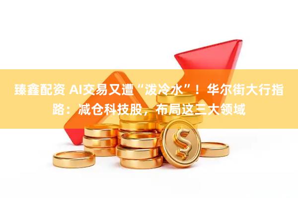 臻鑫配资 AI交易又遭“泼冷水”！华尔街大行指路：减仓科技股，布局这三大领域